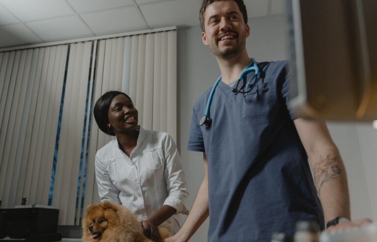 İki veteriner hekim köpeğe özenle bakıyor