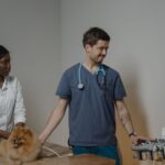Veteriner hekim köpeğe ultrason uyguluyor