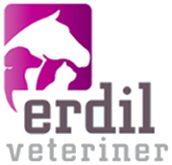 Erdil Veteriner Kliniği