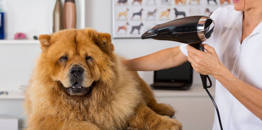 Erdil Veteriner Kliniği — klinik fotoğrafı